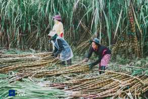 រមណីយដ្ឋានទំនប់ប្រទាក់ក្រឡា