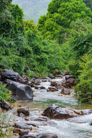 រមណីយដ្ឋានជ្រលងបៃតងវាលពួច